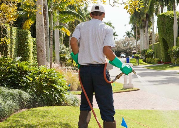 About Warren MA Pest Control Pros